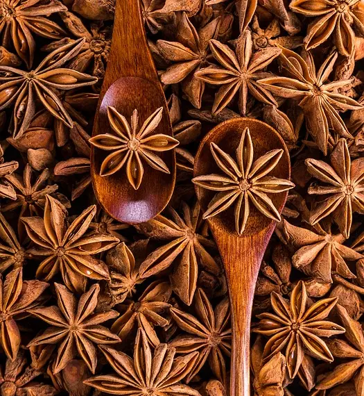 Chinese Star Anise Magical Properties and Spiritual Benefits You Must Know